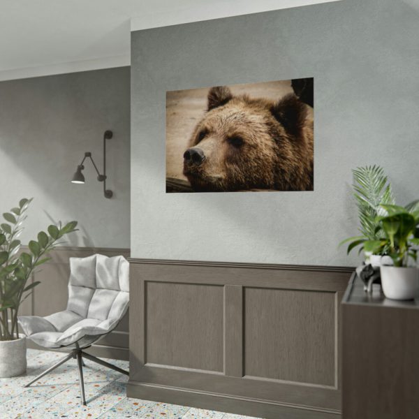 92408-531.jpg Brown Bear Snout Poster