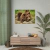 92408-540.jpg Brown Bear Wild Poster