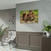 92408-541.jpg Brown Bear Wild Poster