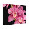 92408-544.jpg Cymbidium Hybrid Orchid Poster