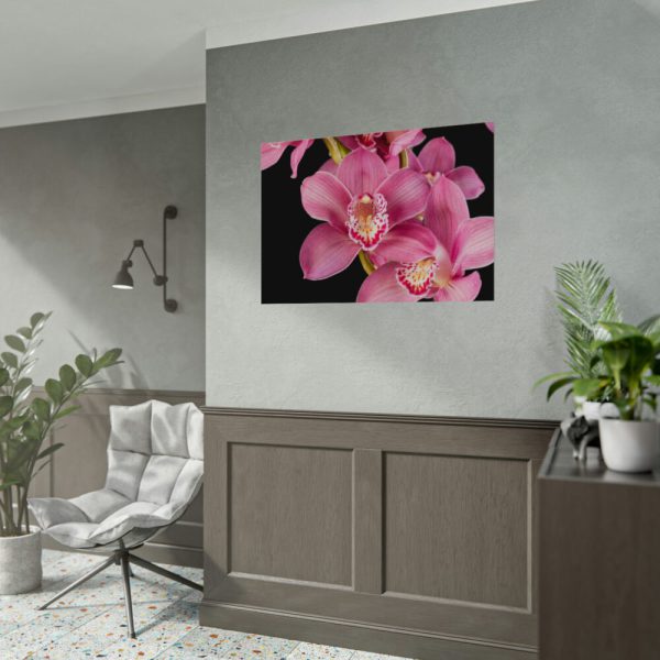 92408-546.jpg Cymbidium Hybrid Orchid Poster