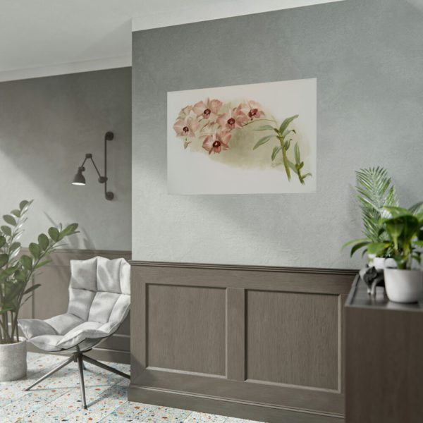 92408-551.jpg Dendrobium Phalænopsis by Frederick Sander Poster