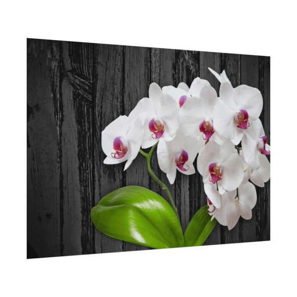 92408-554.jpg White Orchid Plant Poster