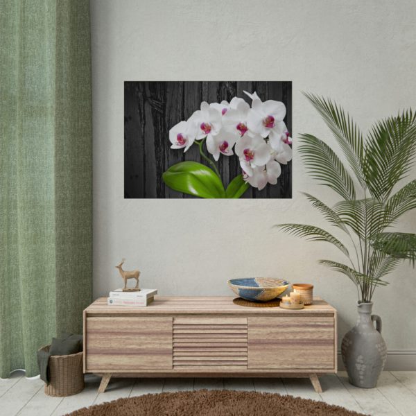 92408-555.jpg White Orchid Plant Poster