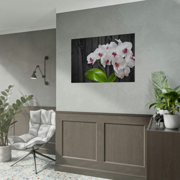 92408-556.jpg White Orchid Plant Poster