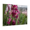92408-559.jpg Orchid Cash Plant Poster