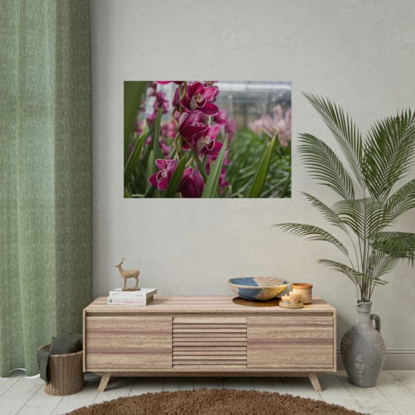 92408-560.jpg Orchid Cash Plant Poster