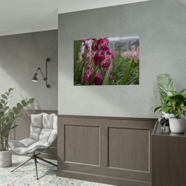 92408-561.jpg Orchid Cash Plant Poster