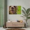92408-565.jpg European Brown Bear Poster