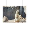 White Polar Bear Zoo Poster