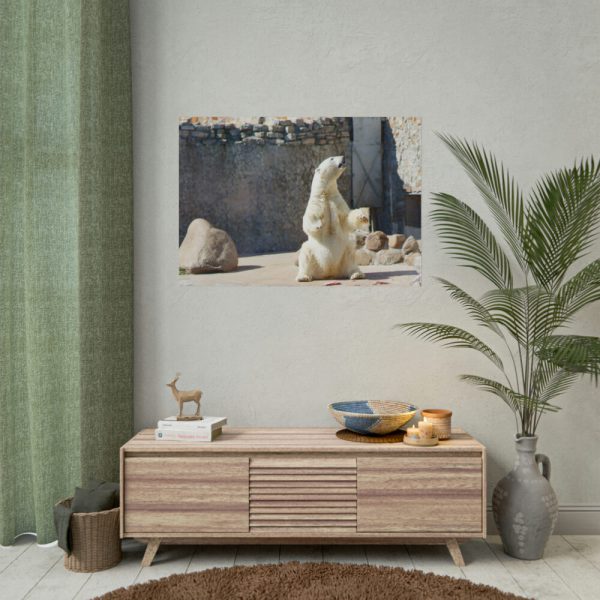 White Polar Bear Zoo Poster