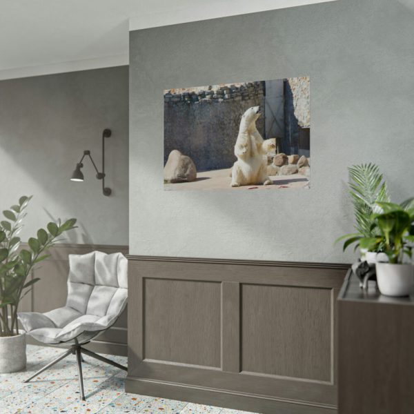 White Polar Bear Zoo Poster