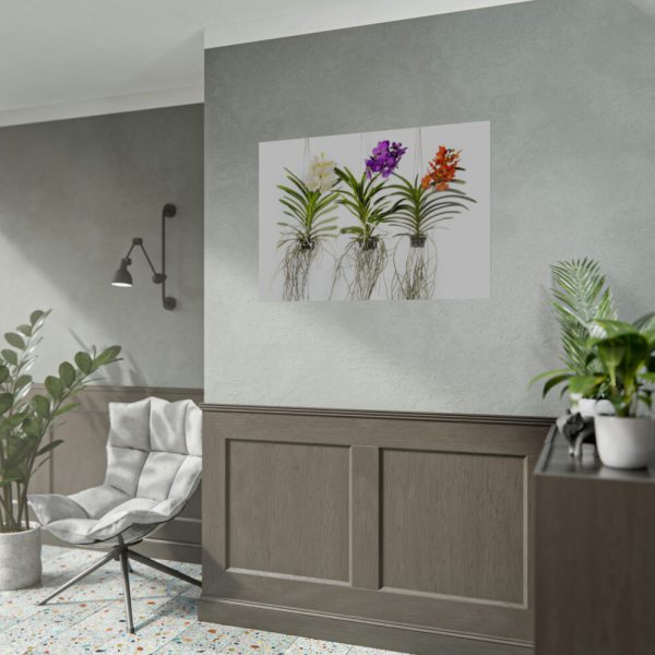 Three Orchids Poster