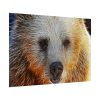 92408-594.jpg Syrian Bear Face Poster