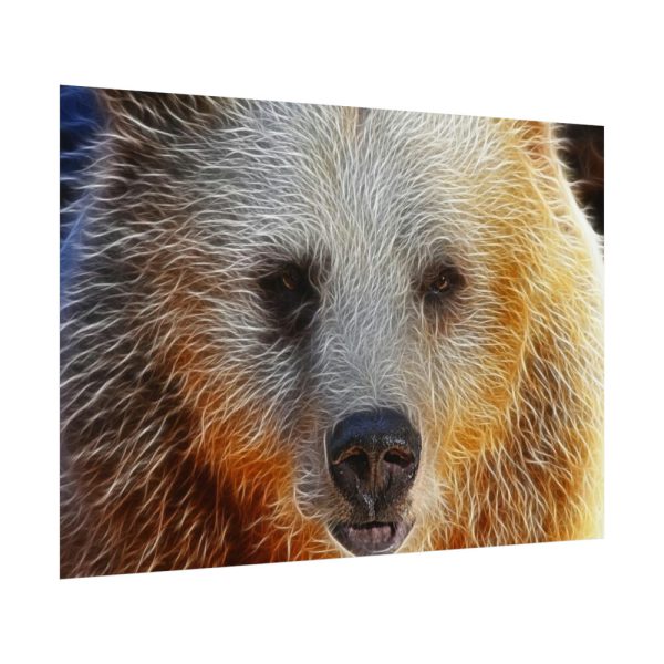 92408-594.jpg Syrian Bear Face Poster