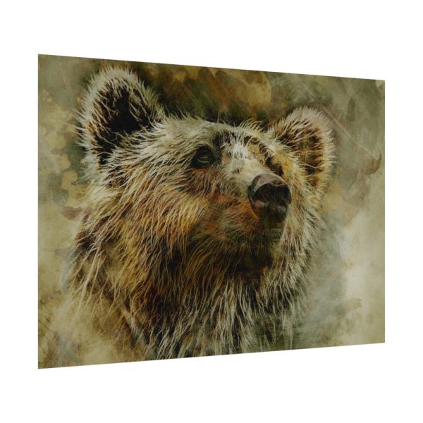 Grizzly Bear Kodiak Head Poster
