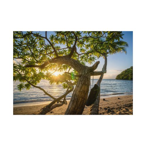 Sneaker Hanging from a Sand Beach Tree at Sunset Poster