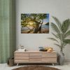 92408-610.jpg Sneaker Hanging from a Sand Beach Tree at Sunset Poster