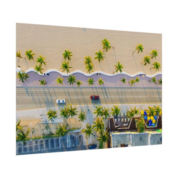 Palm Tree-Lined Road Poster