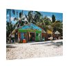 92408-659.jpg Tropical Dominican Republic Poster