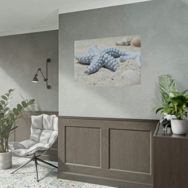 92408-676.jpg Starfish Poster