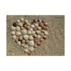 92408-677.jpg Heart Stones on Beach Poster