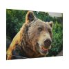 Grizzly Bear Snout Poster