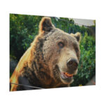 Grizzly Bear Snout Poster - Image 3