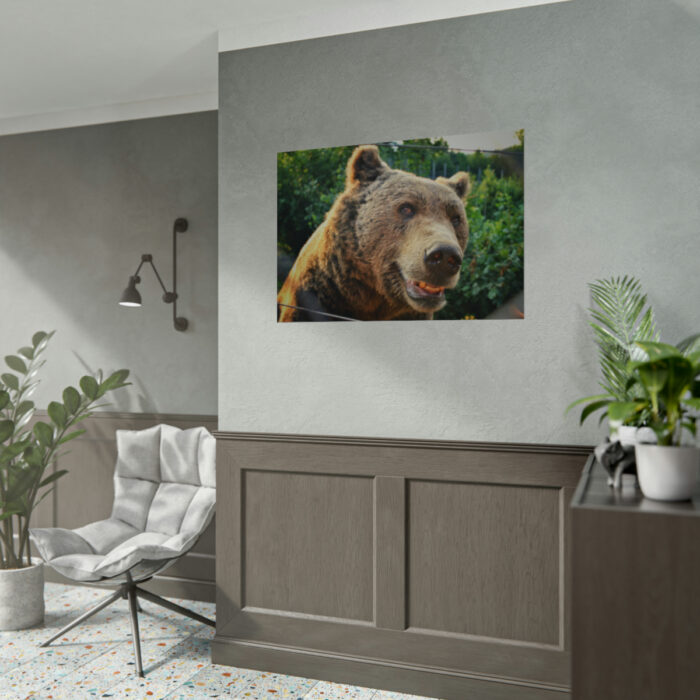 Grizzly Bear Snout Poster - Image 5