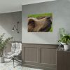 92408-701.jpg European Brown Bear Close up Poster