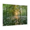 92408-704.jpg Forest at Sunset with Bear's Garlic Poster