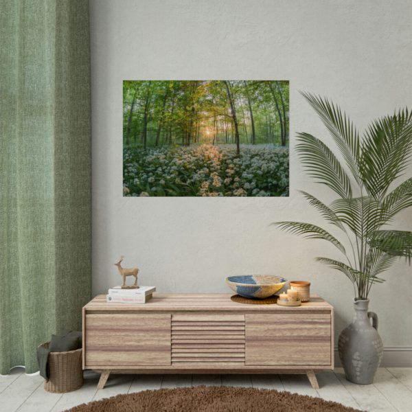 92408-705.jpg Forest at Sunset with Bear's Garlic Poster