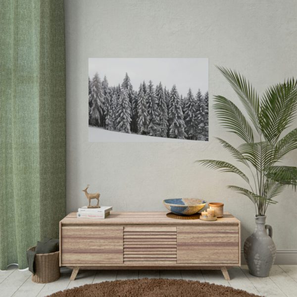 92408-725.jpg Snow Covered Trees in Forest Poster