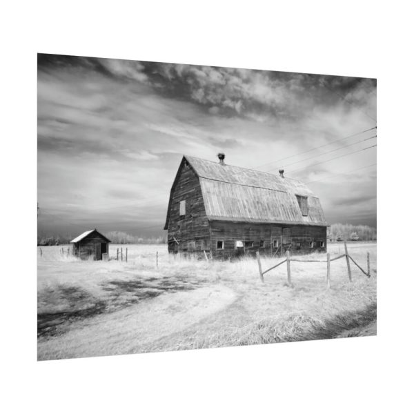 Barn by Carol M. Highsmith Poster
