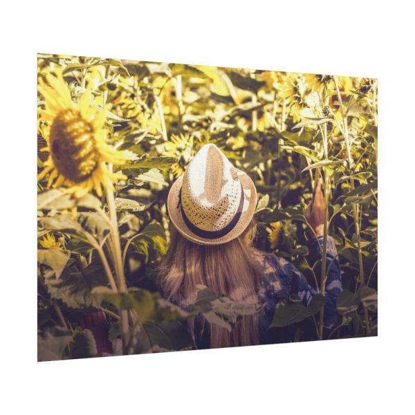 92408-78.jpg Love Sunflowers Poster
