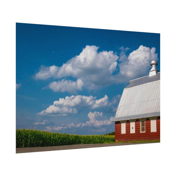92408-82.jpg Cornfield and Red Barn Scenic Poster