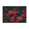 92408-88.jpg Bunch of Red Roses Poster