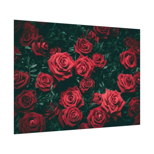 92408-90.jpg Bunch of Red Roses Poster