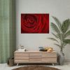 92408-95.jpg Red Rose Poster