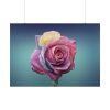 92408-97.jpg Multicolorful Rose Poster