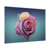 92408-98.jpg Multicolorful Rose Poster