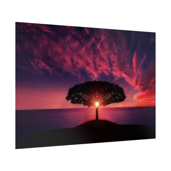 92409-10.jpg Breathtaking Red and Purple Sky Poster