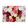 92409-108.jpg Colorful Roses Poster