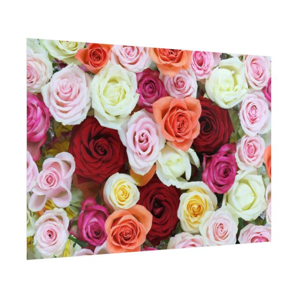 92409-110.jpg Colorful Roses Poster