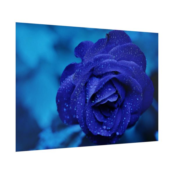 92409-114.jpg Blue Roses Poster