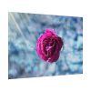 92409-122.jpg Garden Roses Poster
