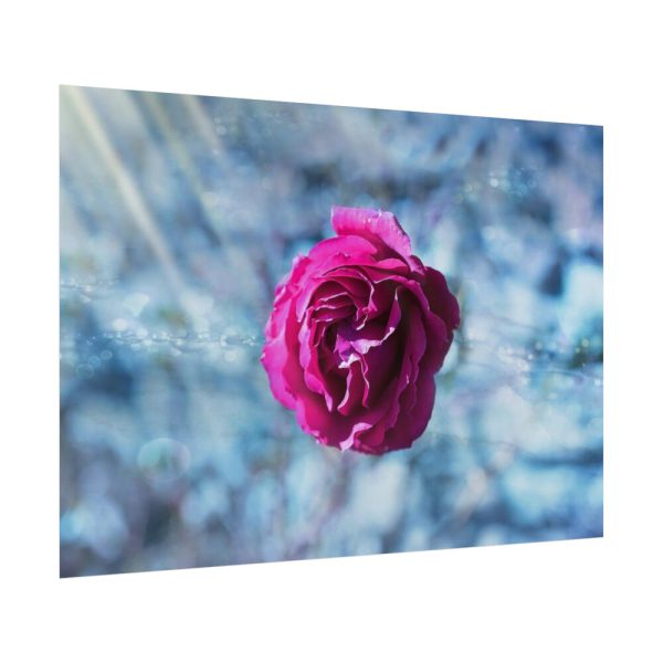 92409-122.jpg Garden Roses Poster