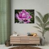 92409-127.jpg Rose Family Poster