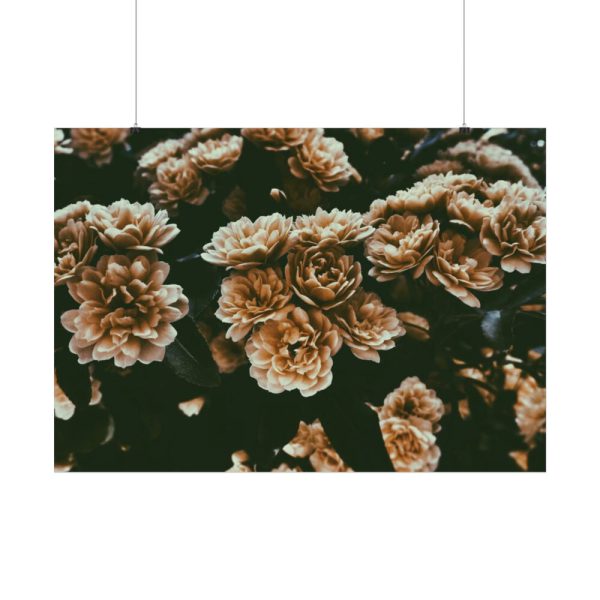 92409-137.jpg Brown Aesthetic Poster