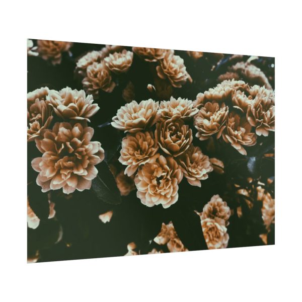 92409-138.jpg Brown Aesthetic Poster